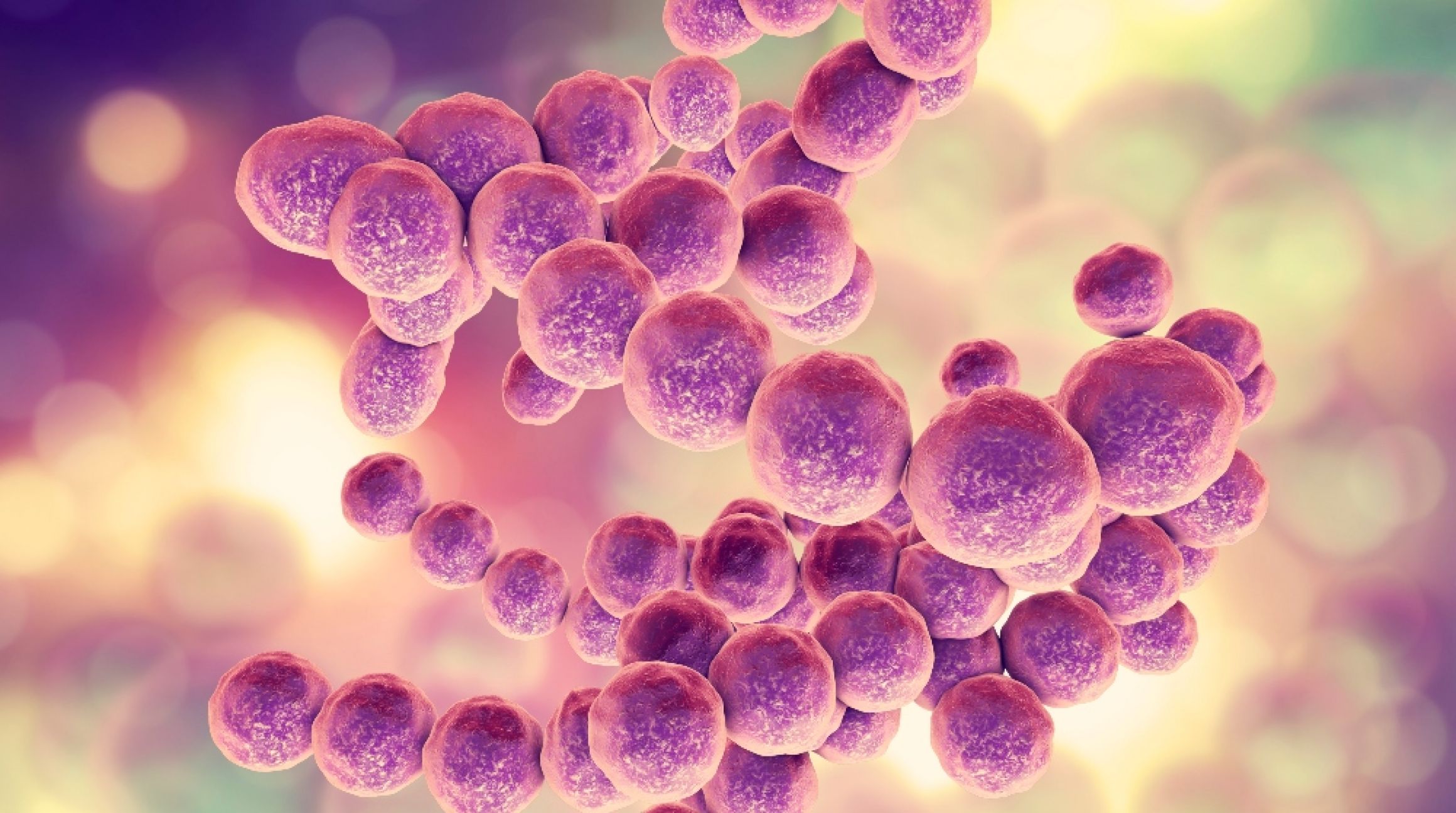 Gut microbes under the microscope