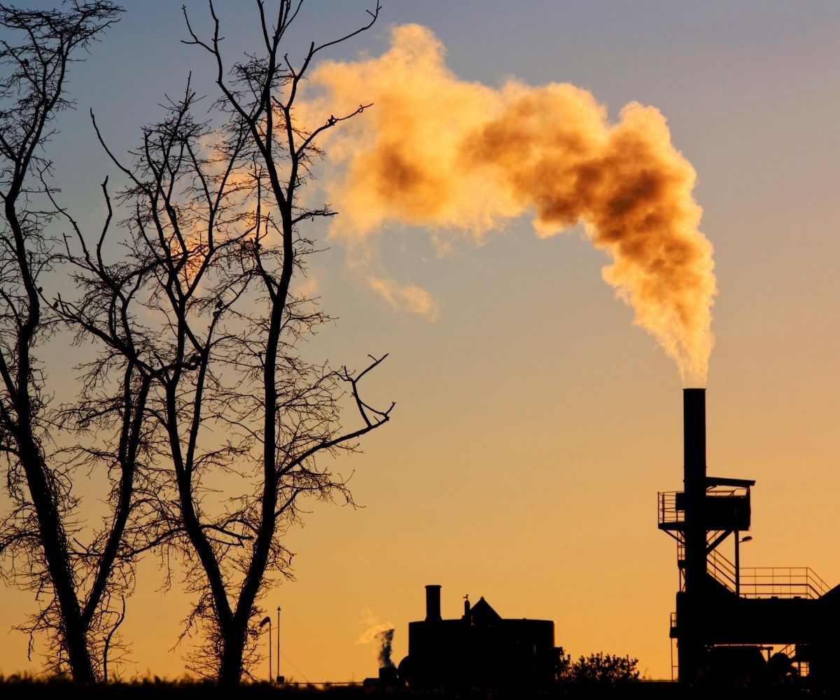 A factory that is producing a gas plume, next to a dead tree