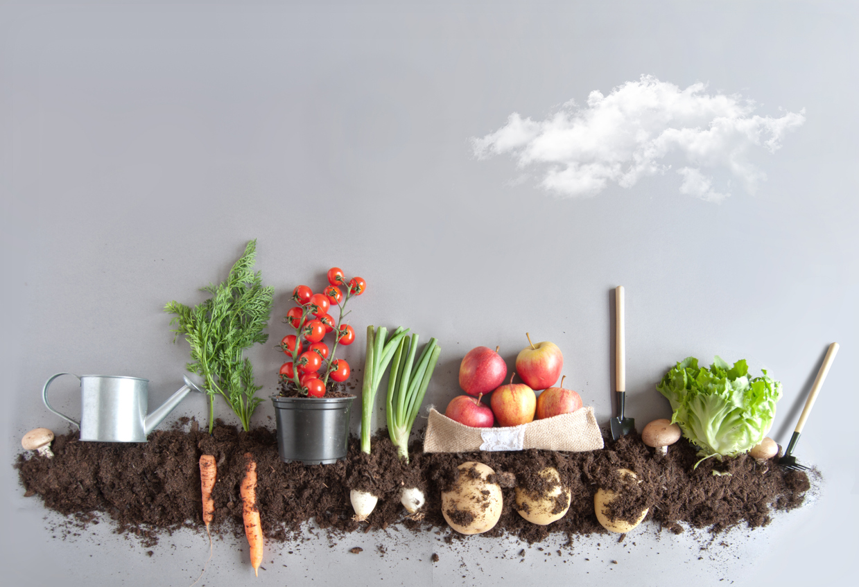 Treatt, ingredients, vegetables