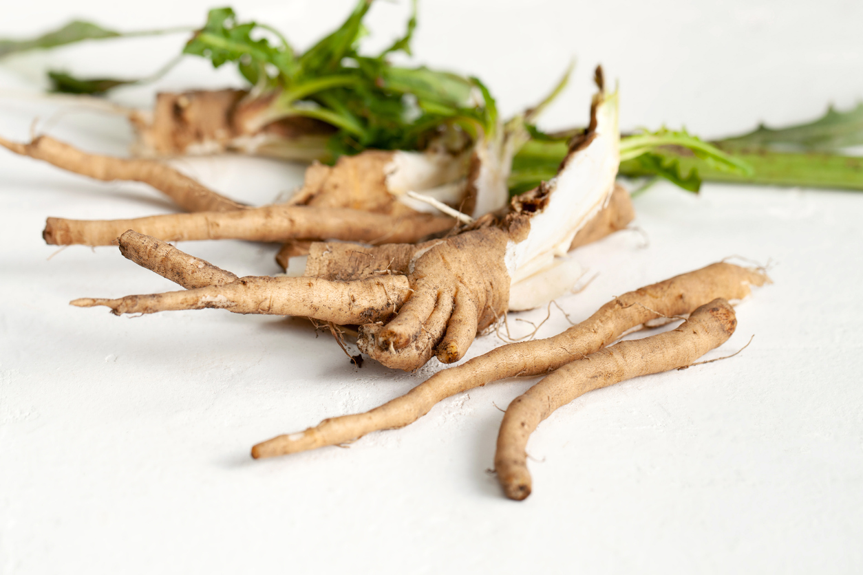 Chicory root, WholeFiber