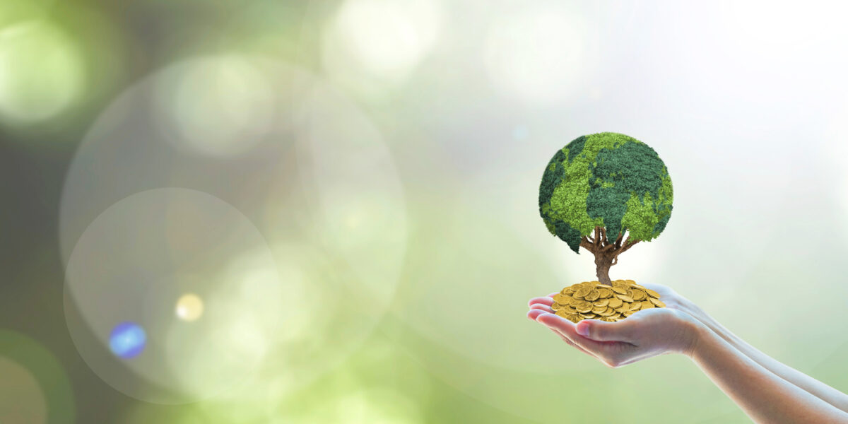 sustainable investment
