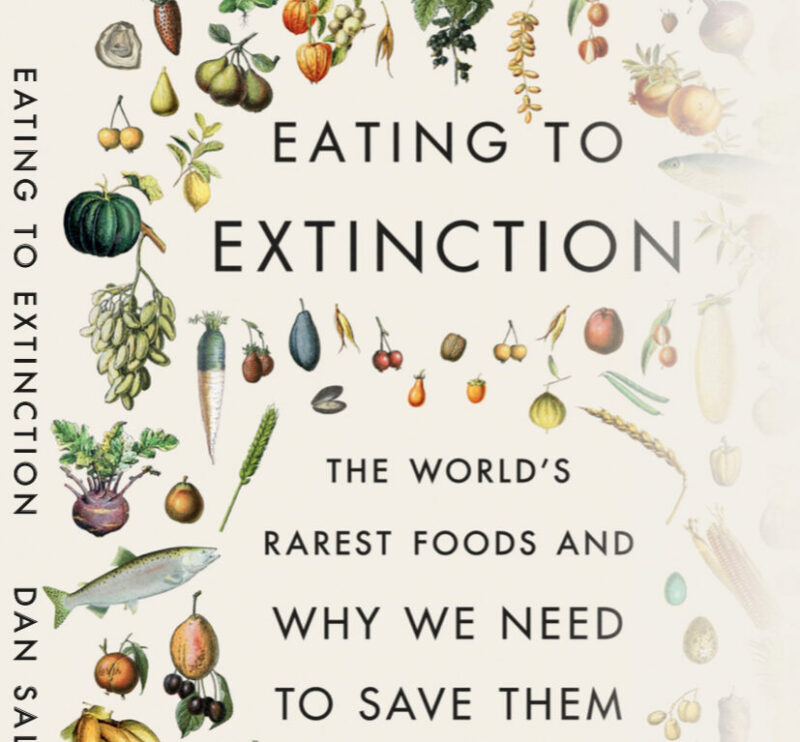 Cover of a book