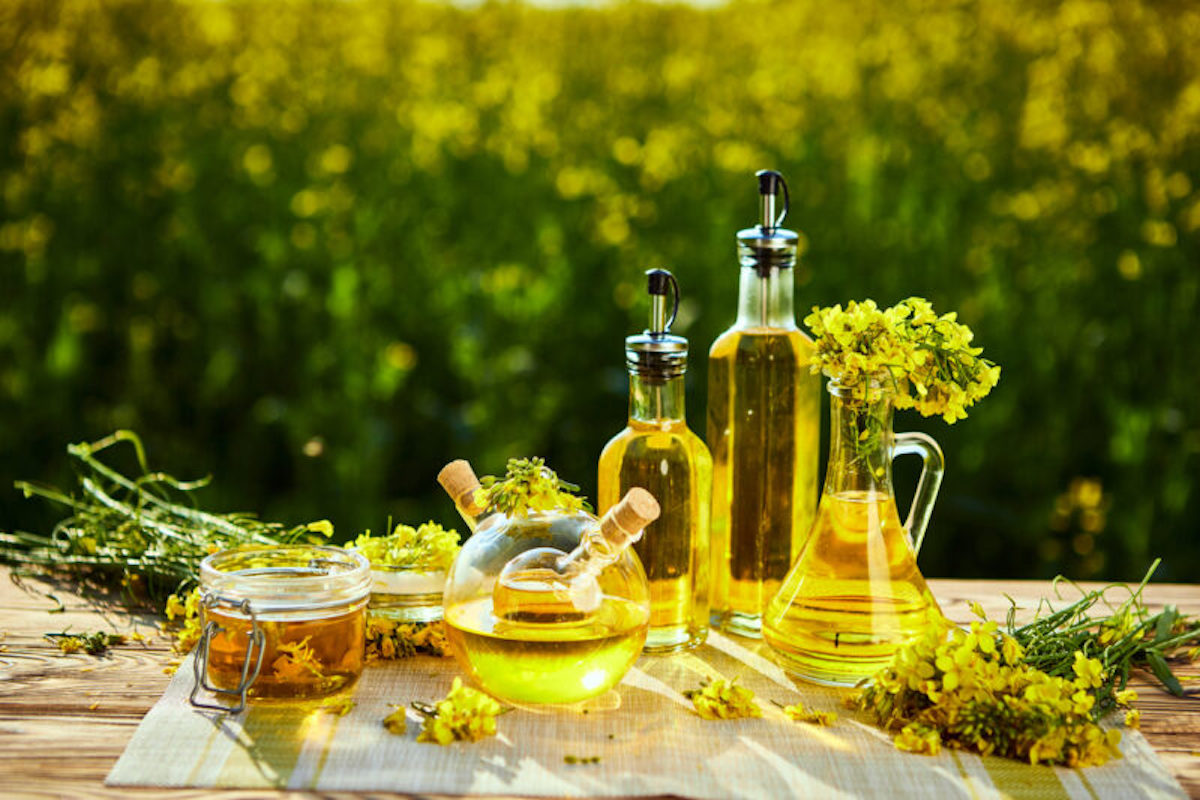 Rapeseed oil bottles on background rape field