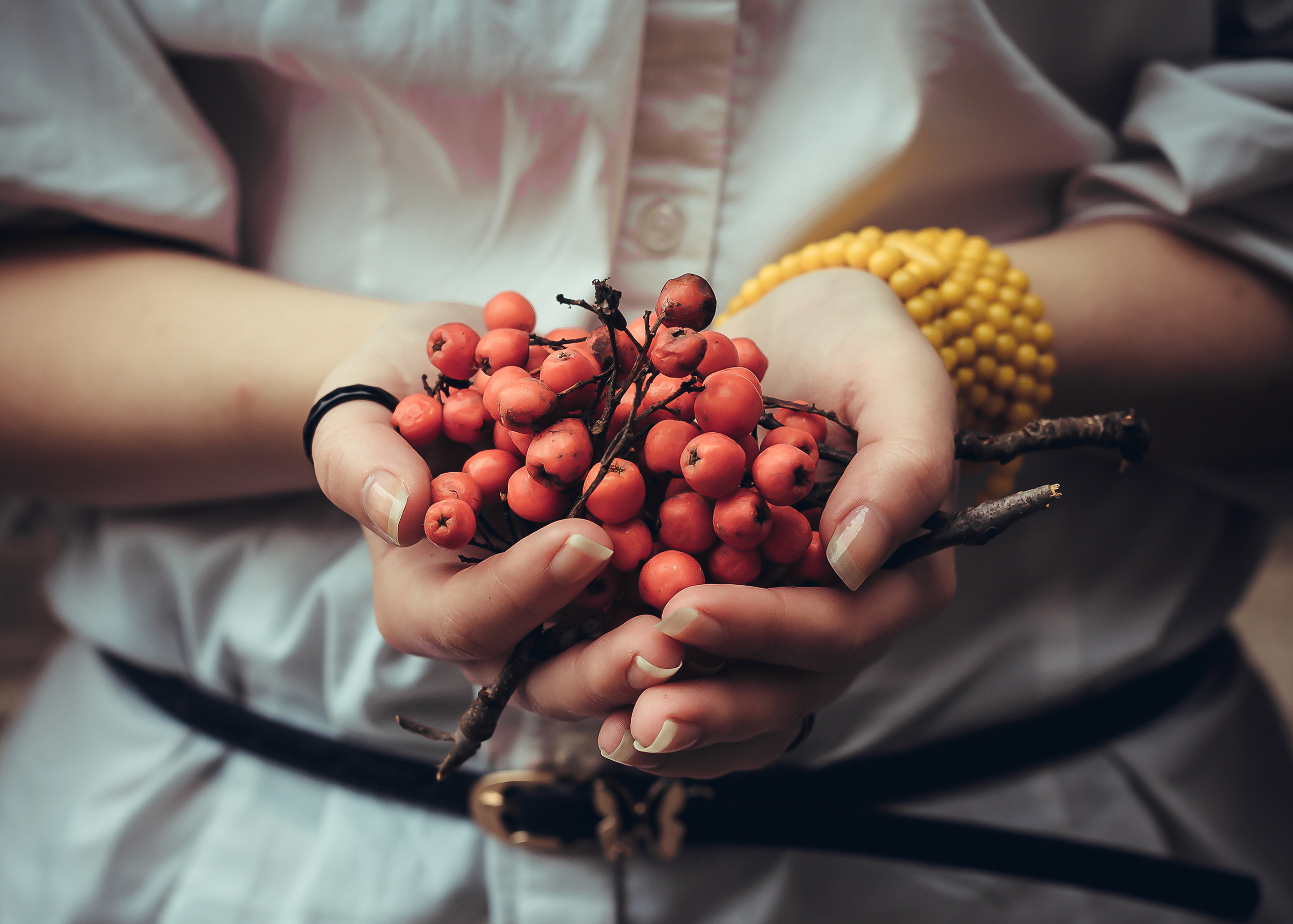Rowan Berries being held by a woman