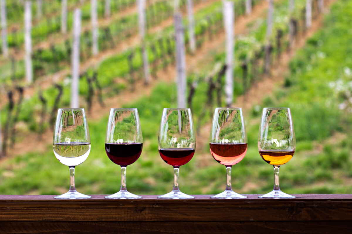 Different wine types in glasses with vineyard background