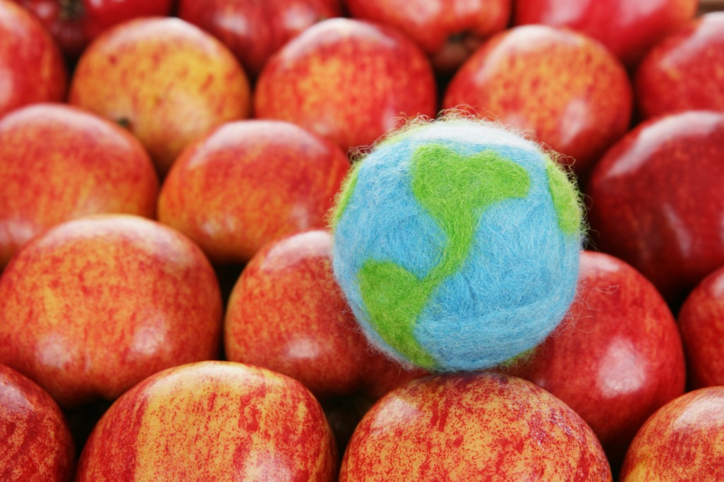 knitted earth among apples, environmental scores