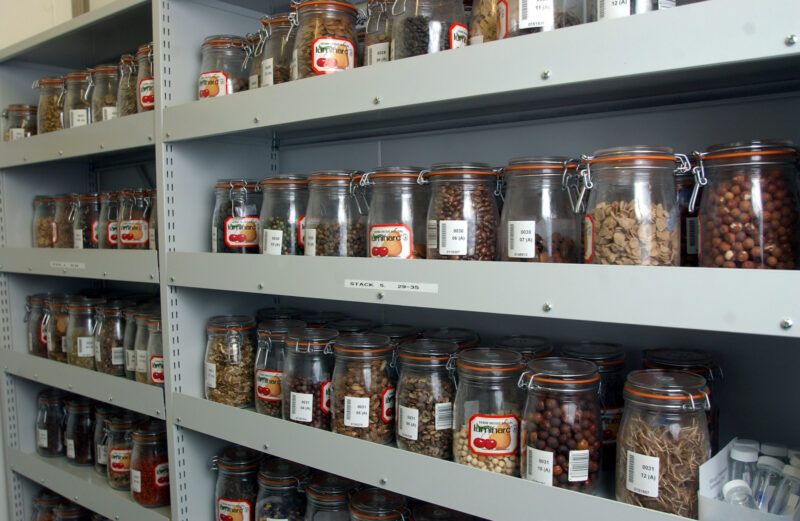 Jars of seeds contained at the Millennium Seedbank