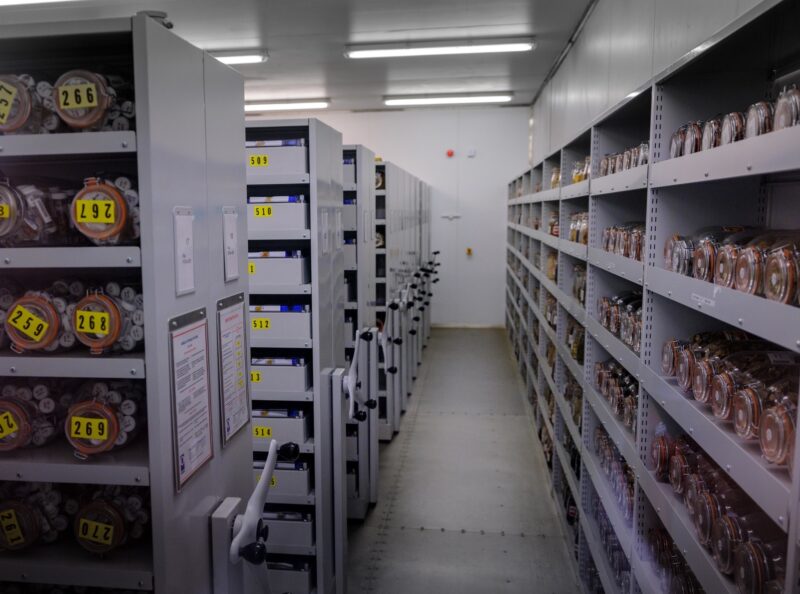Grey shelving units in a seed bank, containing shelves and shelves of jars of seeds