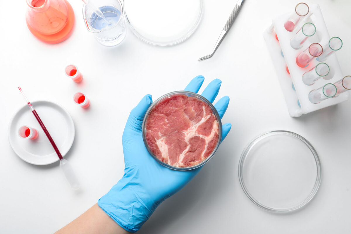 blue gloved hand holding a petri dish of lab-grown red meat, against a white background and various scientific implements