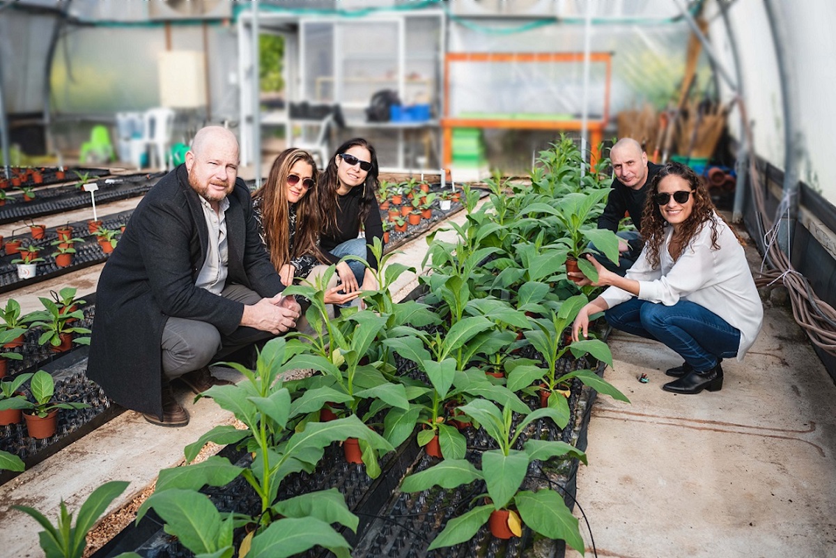 group of men and women kneeling around strip of tobacco plants