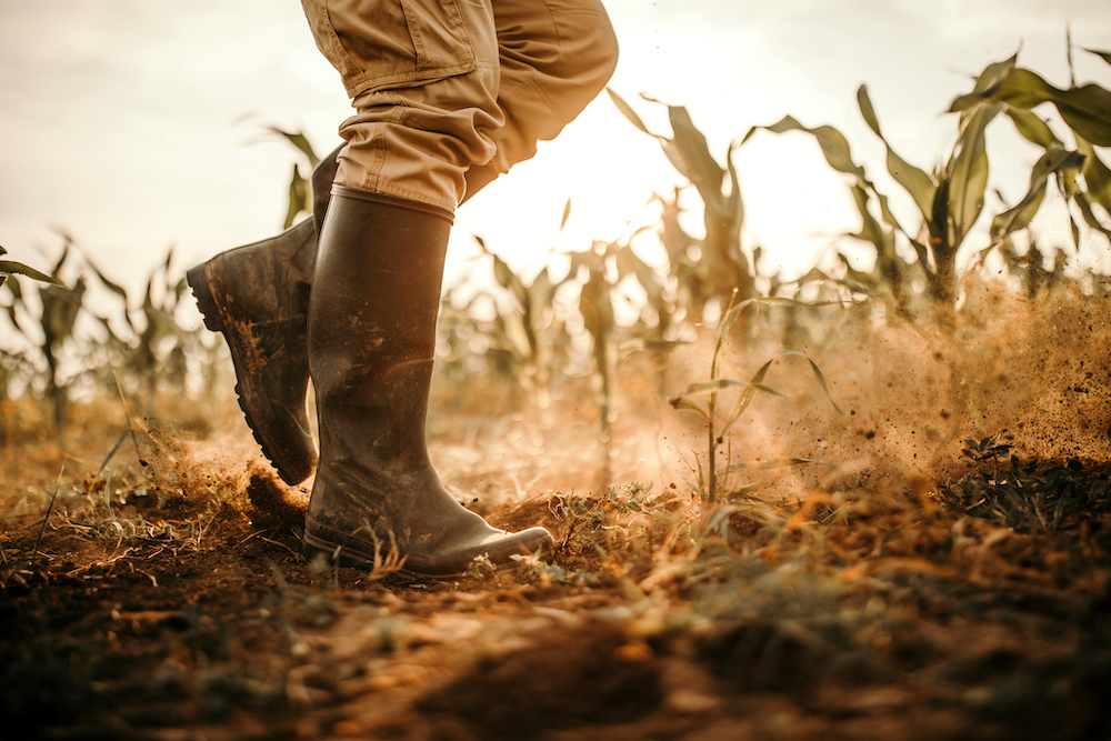 Farmers boots on dry land