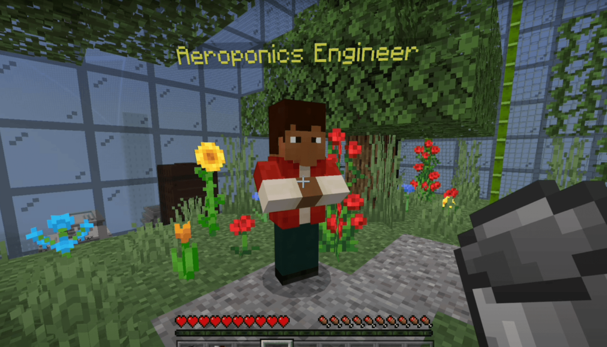 Minecraft game still, pixelated man, intended to be aeroponics engineer, stands in front of pixelated greenery
