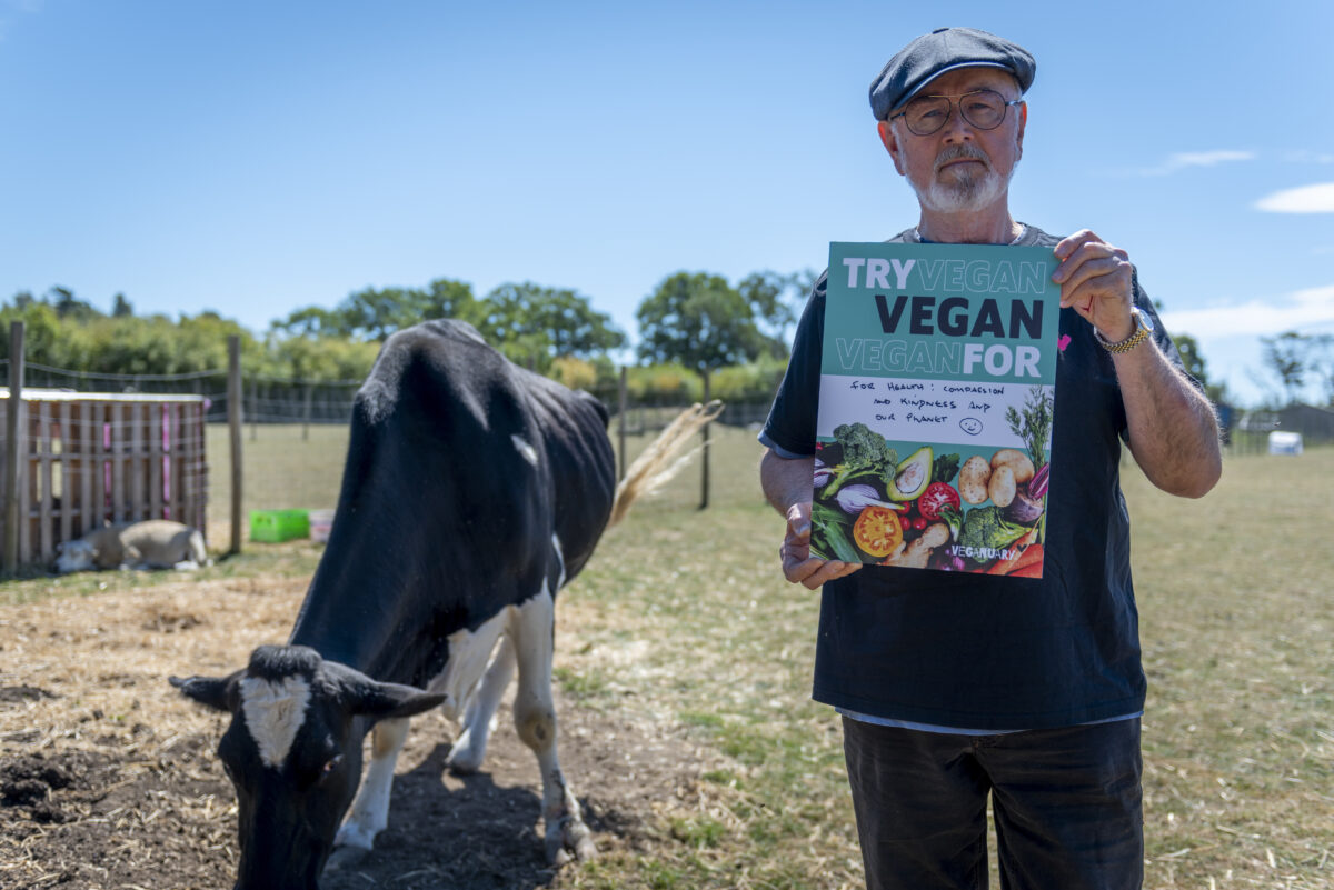 Man standing in field holding sign next to cow grazing