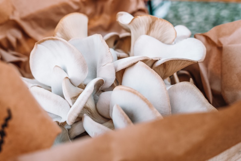 How is urban agriculture taking root in European city streets
