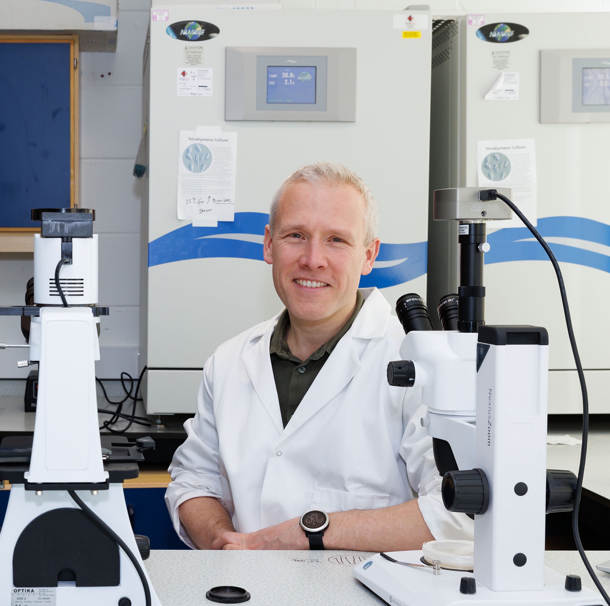 Professor Paul Thomas
