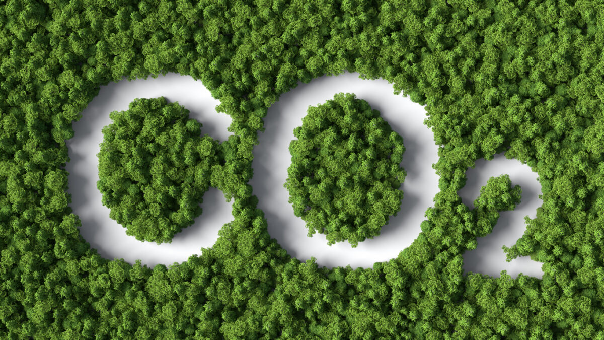 3d carbon dioxide formula cutted in forest on white background