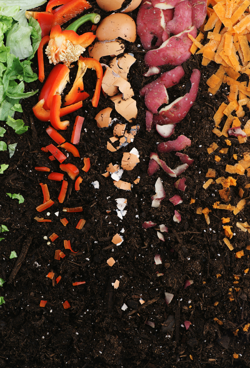 Don't throw it away. Mulch it! The concept of mulching or composting depicted by veggie scraps and egg shells dissolving away into soil.