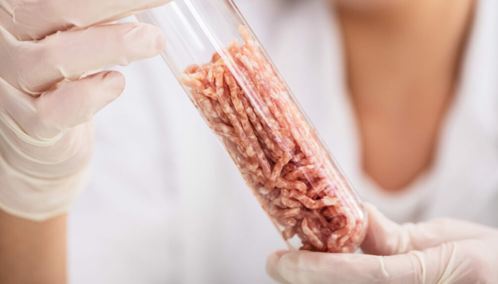 lab-grown meat test tube