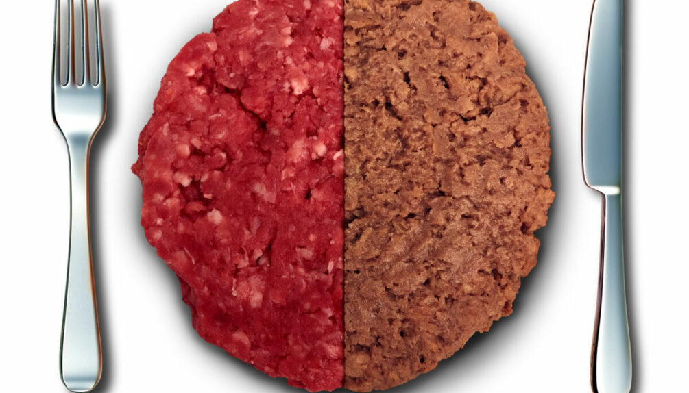 Vegan meat and meat burger