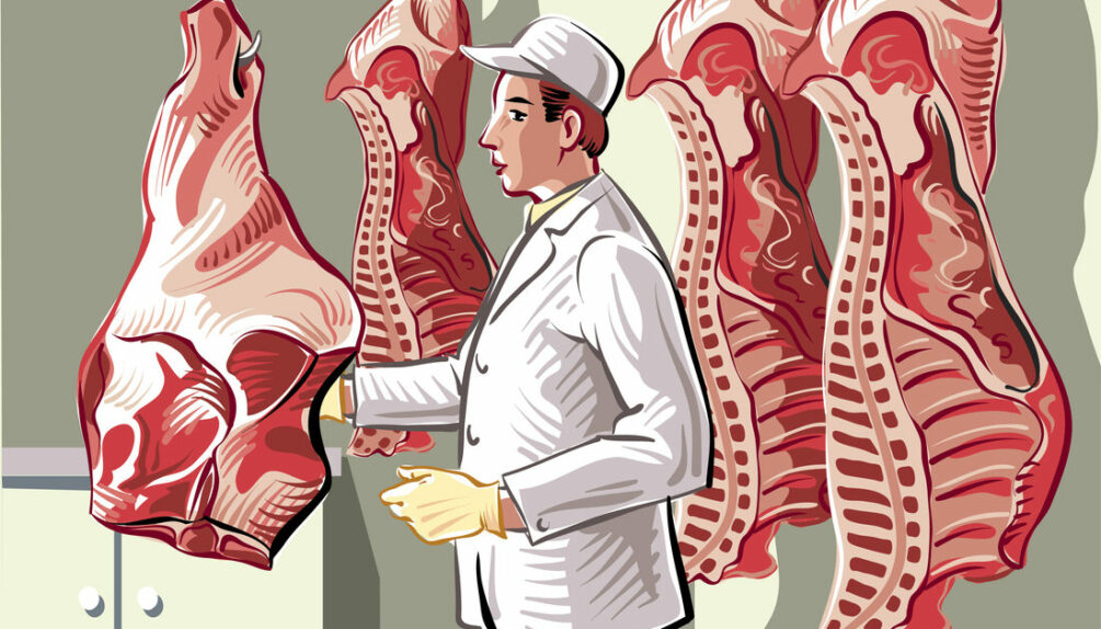 Butcher illustration