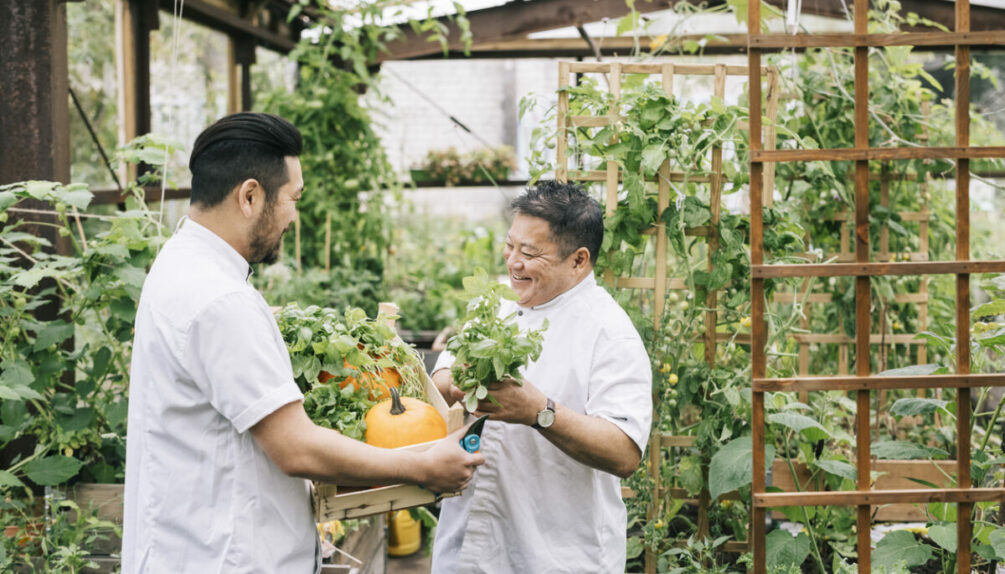 two chefs picking fresh produce