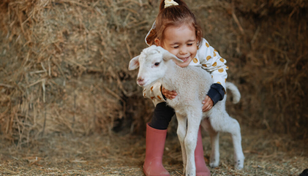 little girl hugging a baby lamb in front of hay background