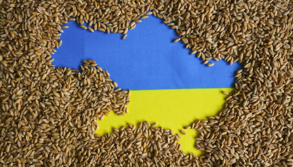 Map of Ukraine in cereal grain