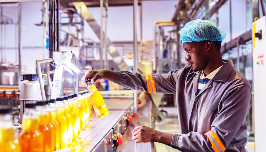 man checking bottles in factory