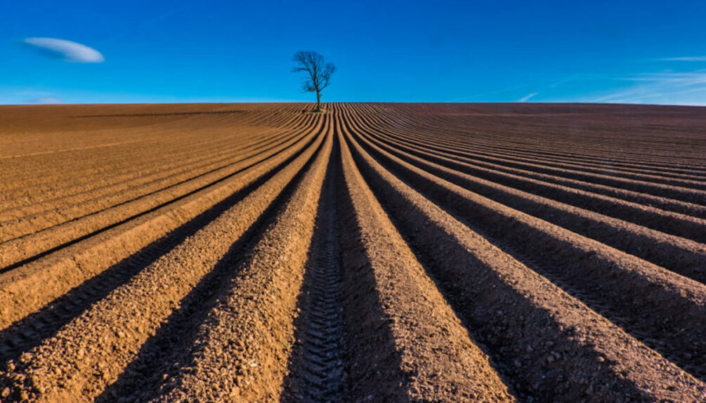 ploughed furrows in field with blue sky