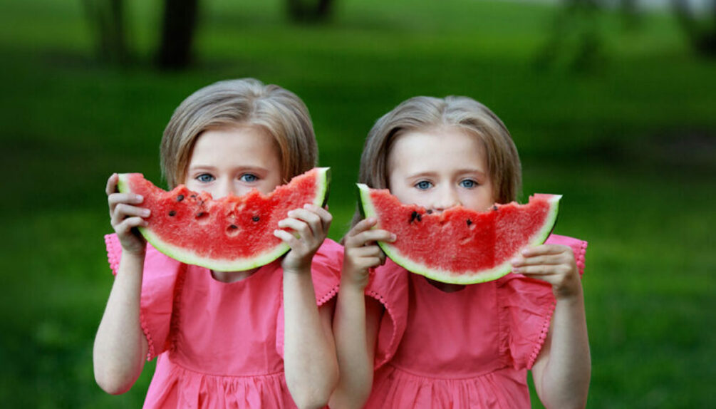 Twin sisters in pink dresses with watermelon in their hands on background of grass