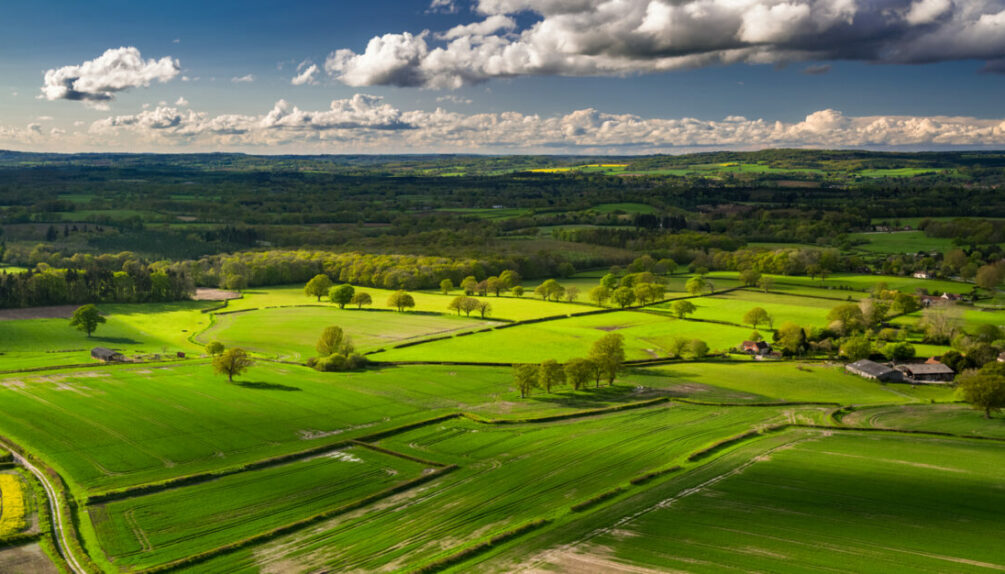 West Sussex countryside