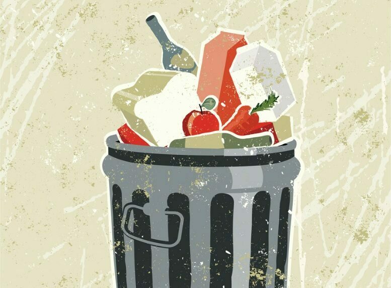 Food Waste Illustration