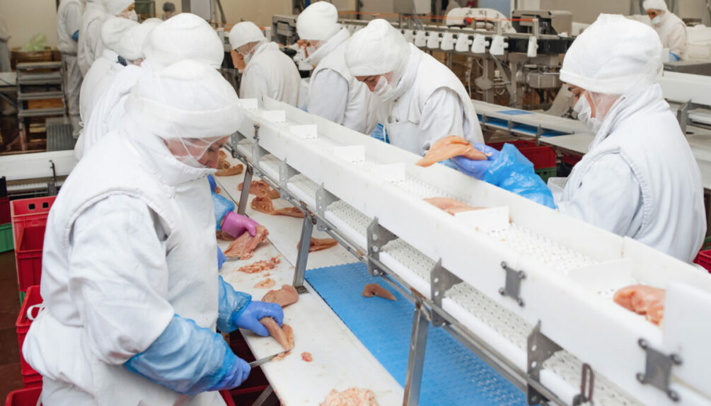 workers in a meat factory