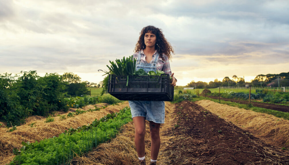 farmer carrying fresh produce on a farm