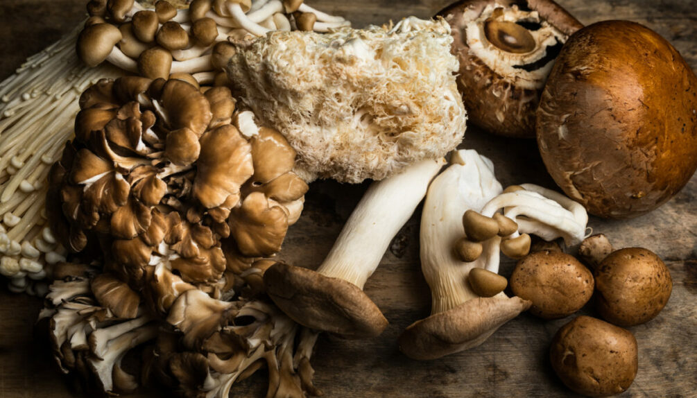different varieties of mushrooms