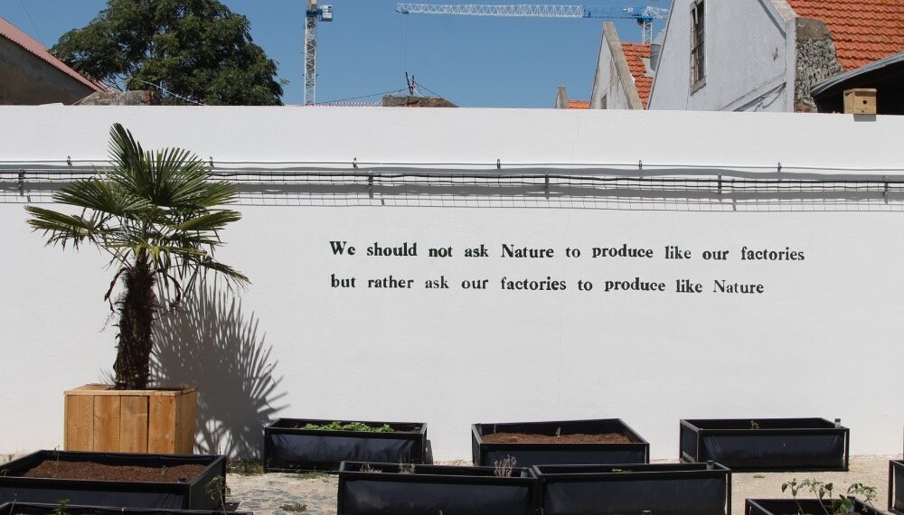 How is urban agriculture taking root in European city streets