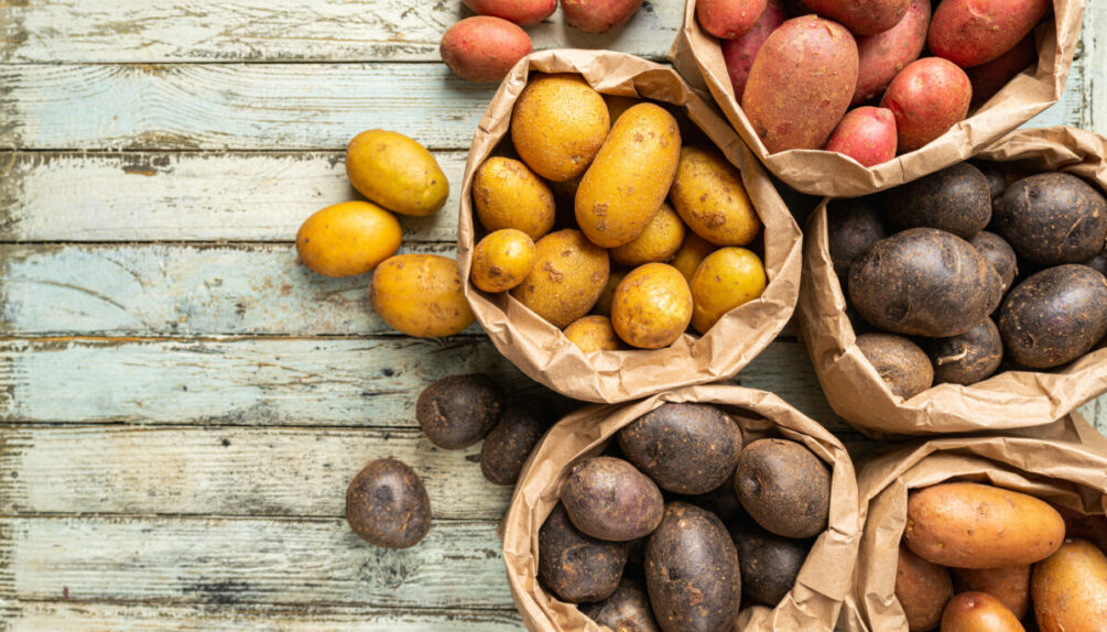Varieties of raw white, red and purple potatoes in paper bags on white wooden background