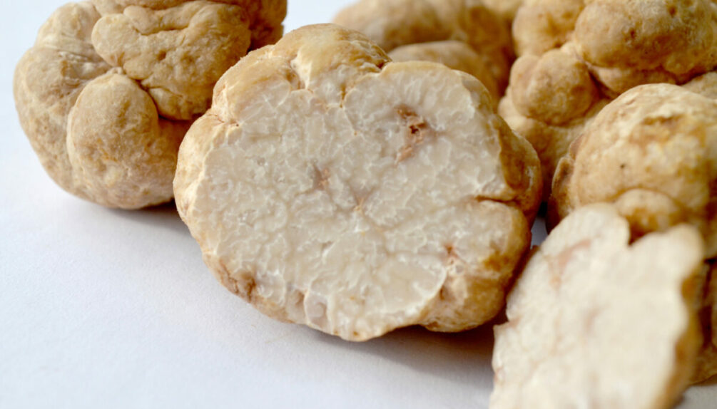 close up of selection of white truffles with one cut in half, on white background
