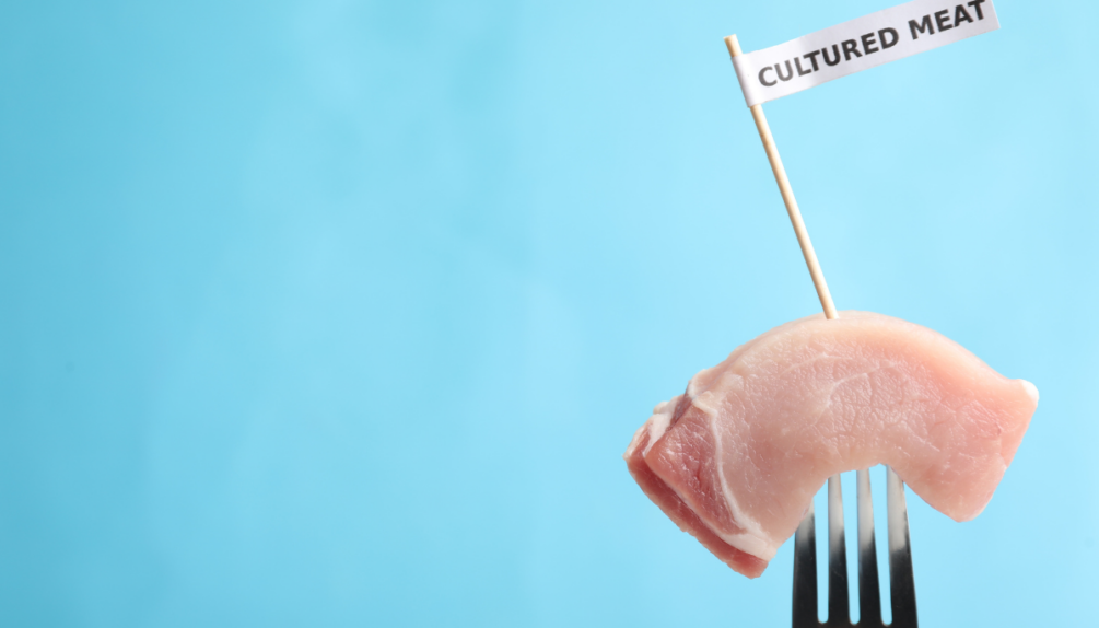 A piece of chicken on a fork labelled