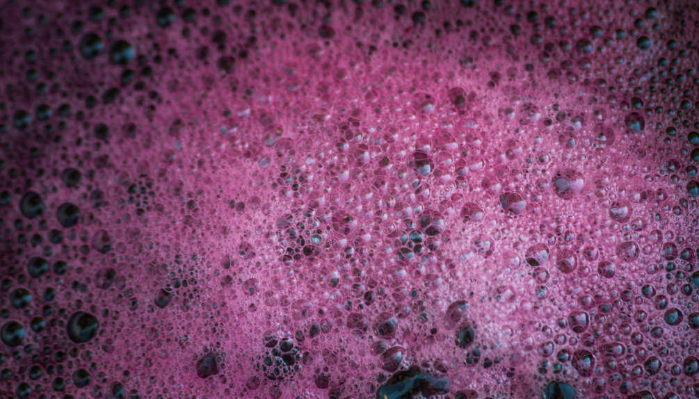 A close-up image of fermenting grapes