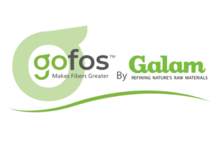 Galam Logo