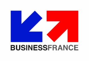 Business France Logo