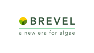 Brevel Logo