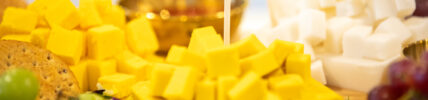 IFF vegan cheese