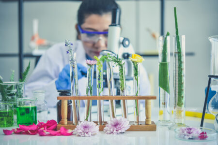 plant based ingredient innovators