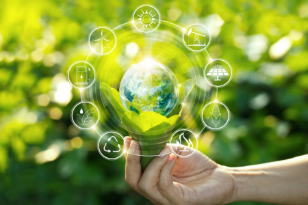Eco green image for Sustainable Food Forum delegates page