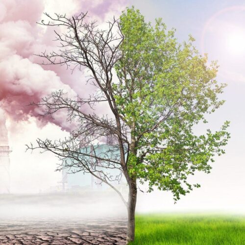 climate change