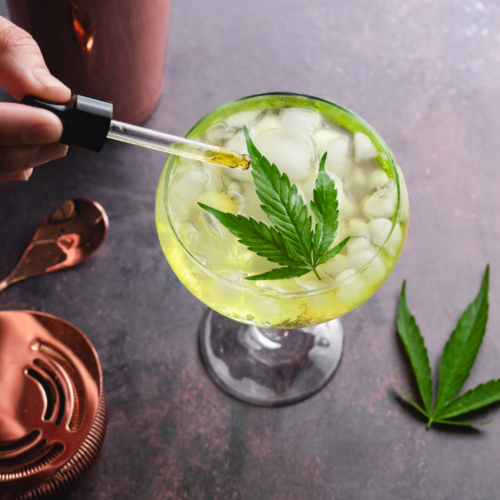 cbd cannabis