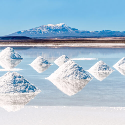 Salt, Salt Alternatives