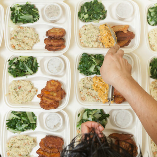 Multiple portions of fresh food being dished out onto individual serving trays